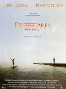Cartaz do filme Tempo de despertar