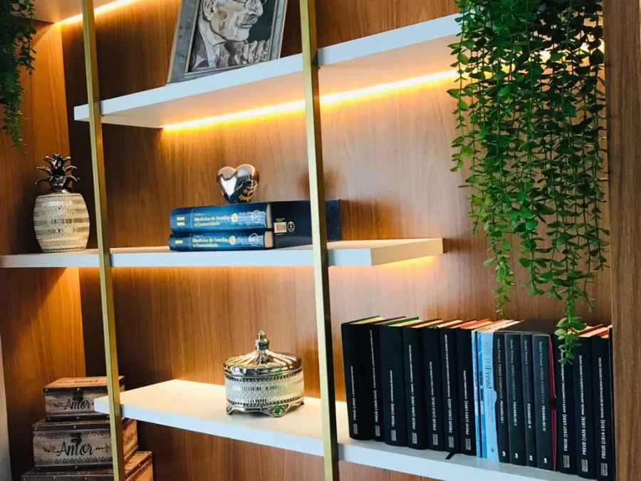 Estante com livros de psicanálise no consultório